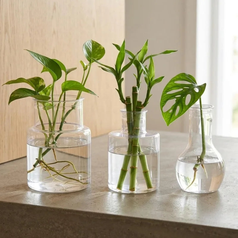 1/5x Transparent Hydroponic Flower Pot Planting Rooting Container Tabletop Plants Bonsai Office Table Home Gardening Decoration