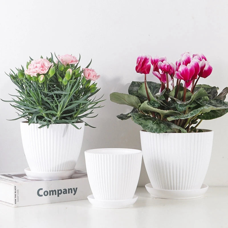 White ribbed plastic plant pots with matching trays, set of three, with pink flowers