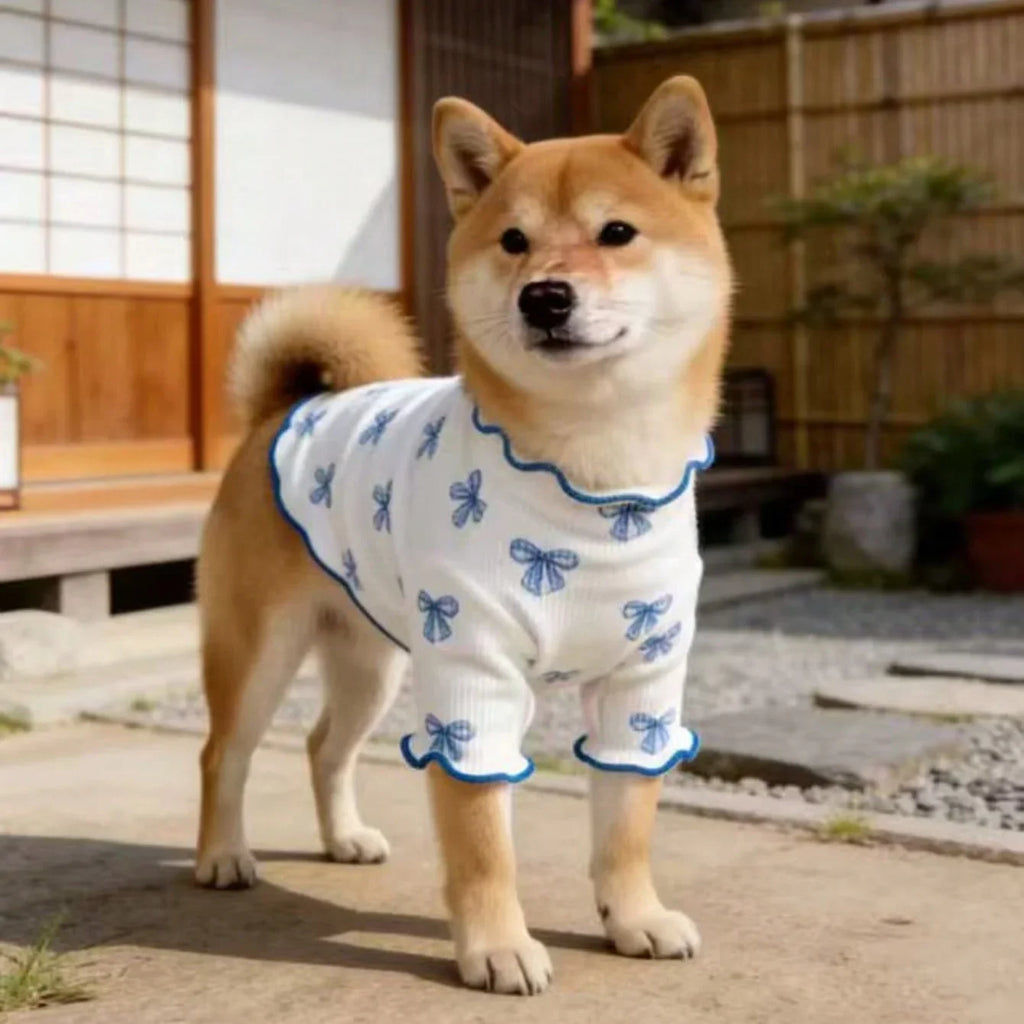 Shiba Inu wearing a breathable, stretchy white knit dog shirt with blue bow print for a comfortable pet look.