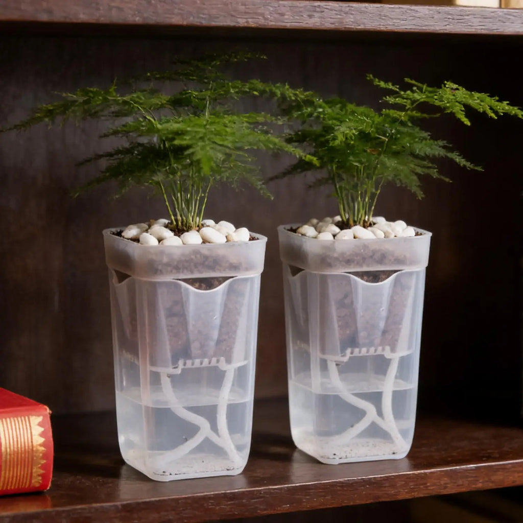 Double Layer Self Watering Planter Drainage Holes Flower Plant Pot Clear Seedling Propagation Container Desktop Garden Supplies