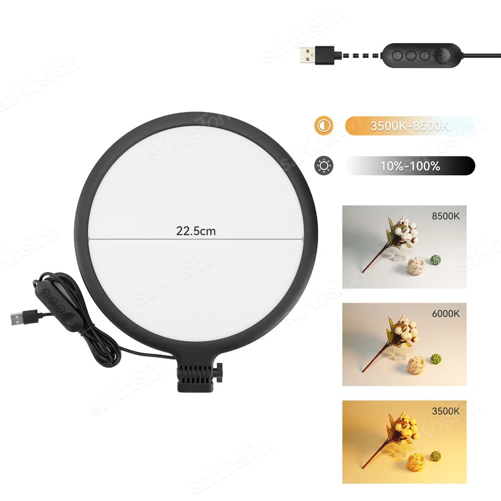 10-Inch LED Ring Light with 2M Adjustable Tripod for Professional Streaming lamp without tripod China Mainland Tidesmit