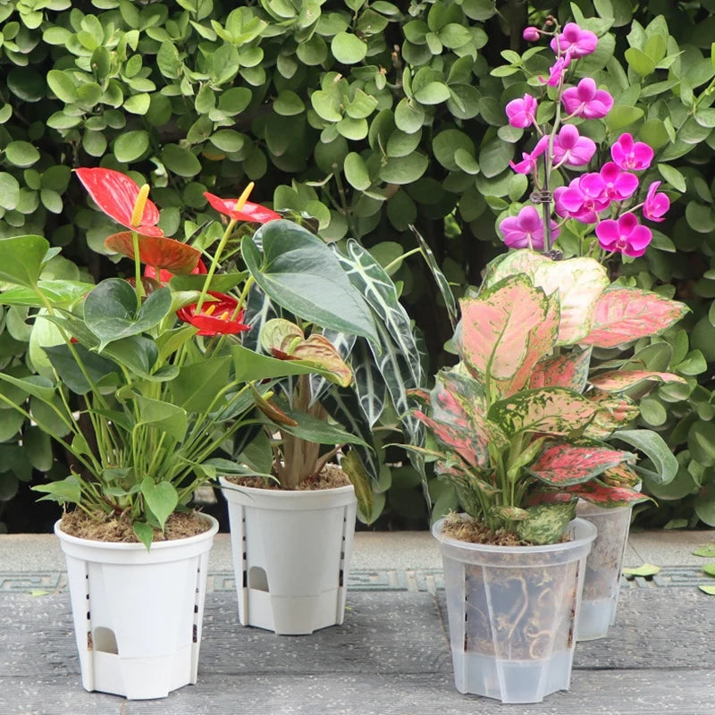 Self Watering Flowerpot Plastic Orchid Pot Double Layer Hydroponic Plant Pot Transparent Round Flower Pot Garden Supplies Decor