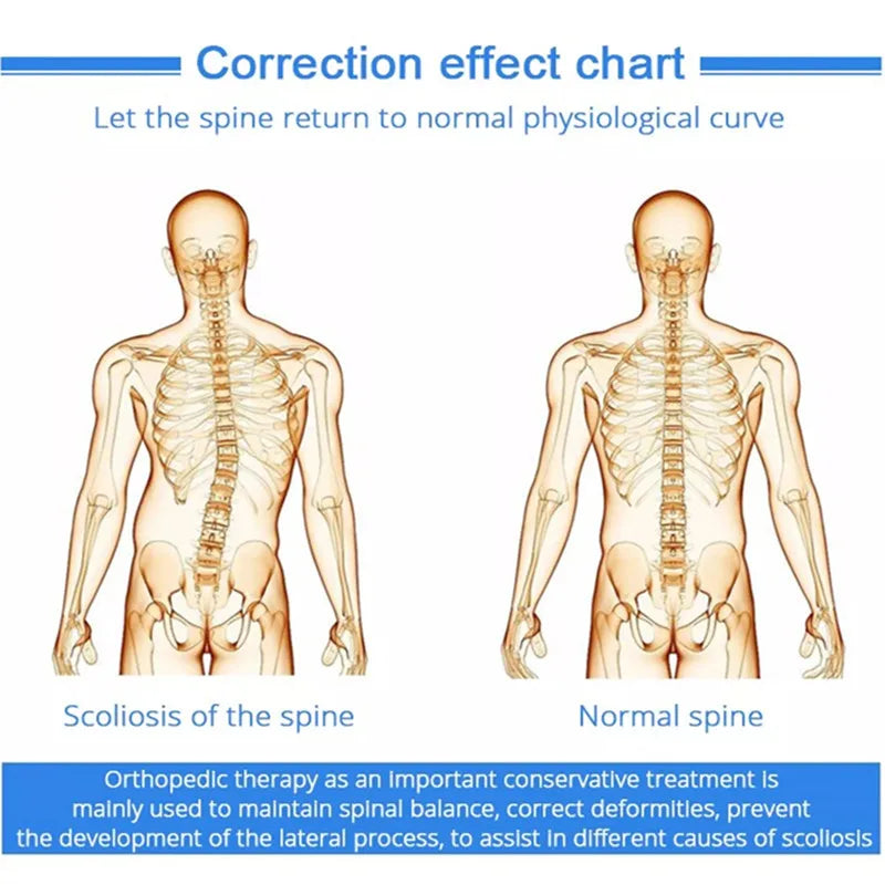 Posture Corrector for Spine Alignment | Adjustable Ergonomic Support Fascia Gun Tidesmit