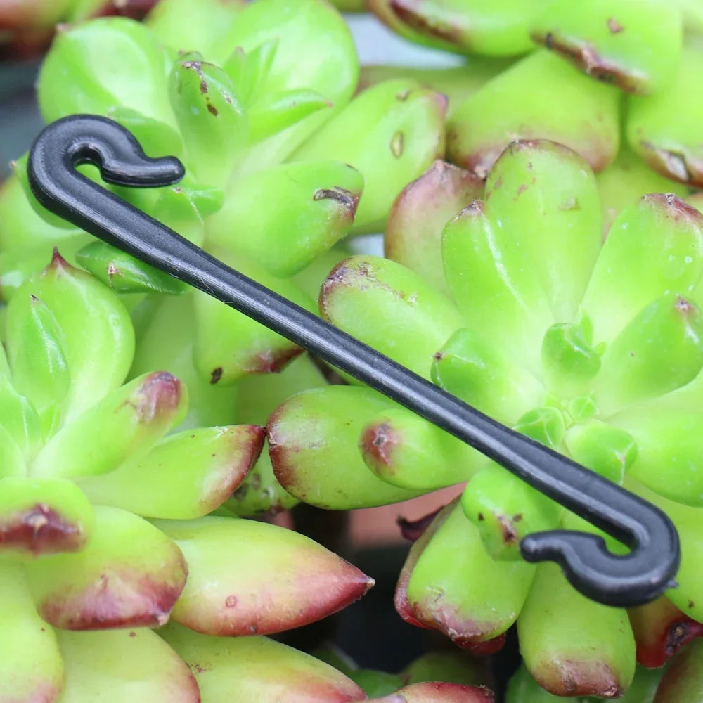 Black lashing clip on green leaves, single hook close-up