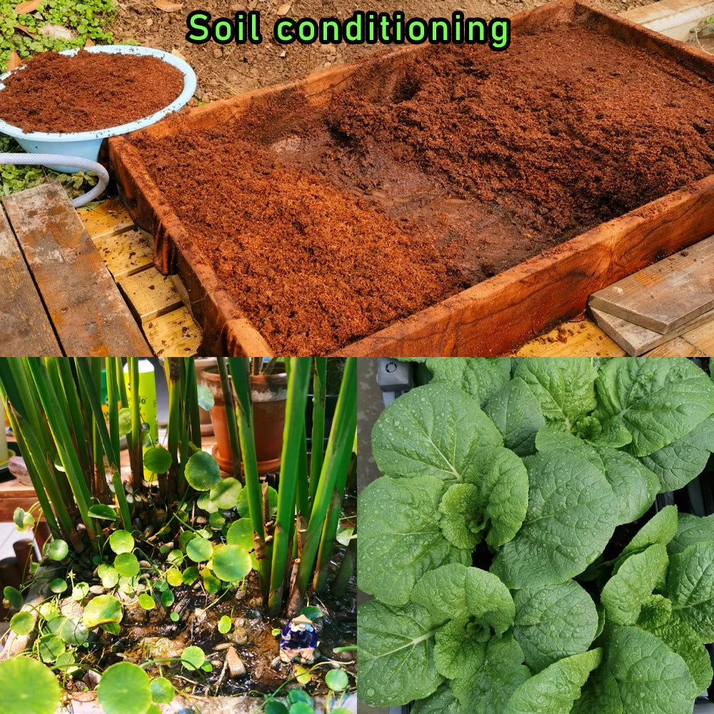 30g EM Bacteria Powder DIY Effective Microorganisms Organic Fertilizer Dispose Of Food Waste & Crops