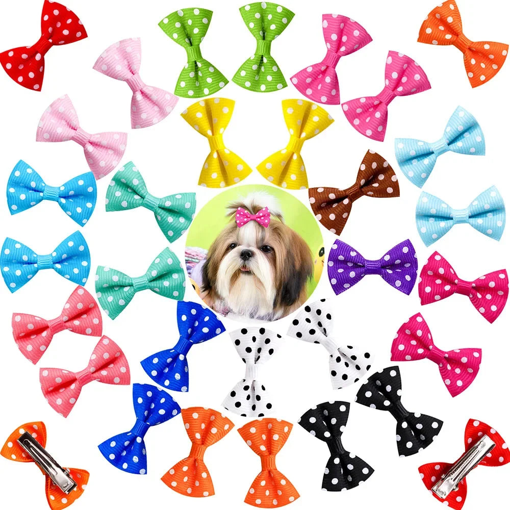 Colorful polka dot bow hair clips for small dogs and cats, perfect for pet grooming and cute styling.