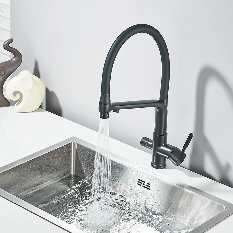 2-in-1 Filtered Kitchen Faucet, Dual Outlet Drinking Water Purifier Tap with Flexible Black Gooseneck, 360° Rotatable Single Handle Hot Cold Mixer Tap