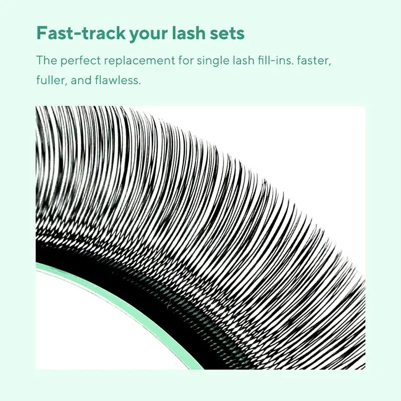Close-up of fluffy black U-shaped premade faux mink eyelash extension fans arranged in a curved row.