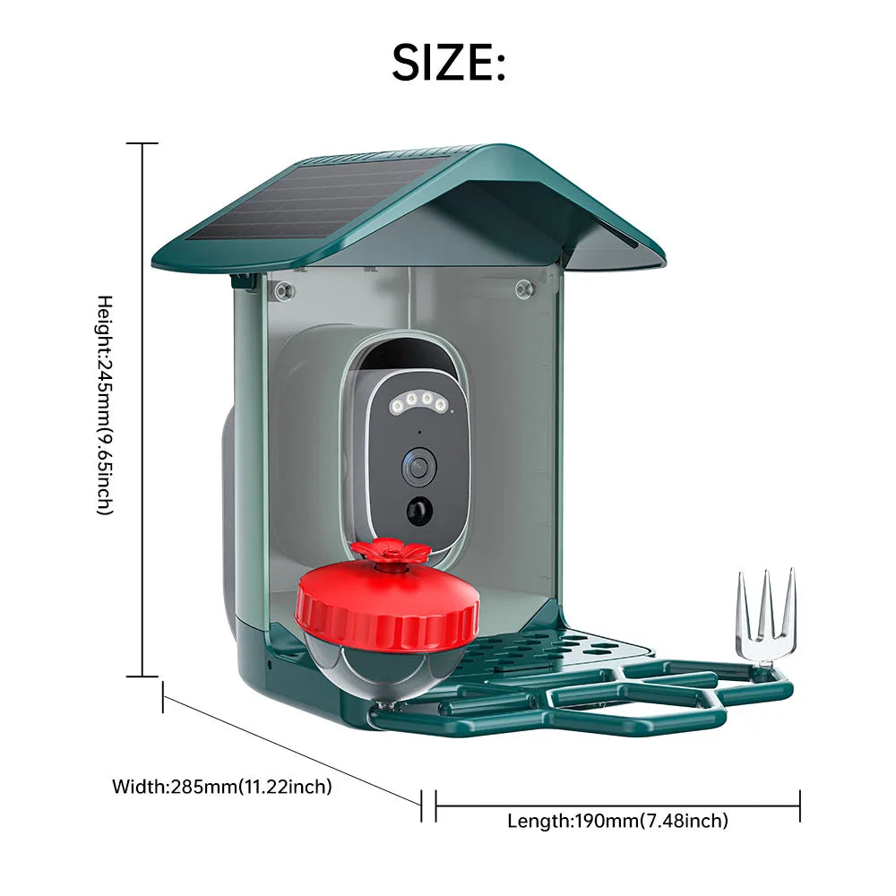 Jooan 4K Solar Bird Feed Camera 2.4G WiFi Outdoor IP Camera Feeder Waterproof HD Bird Video Night Vision Identify Birds Species