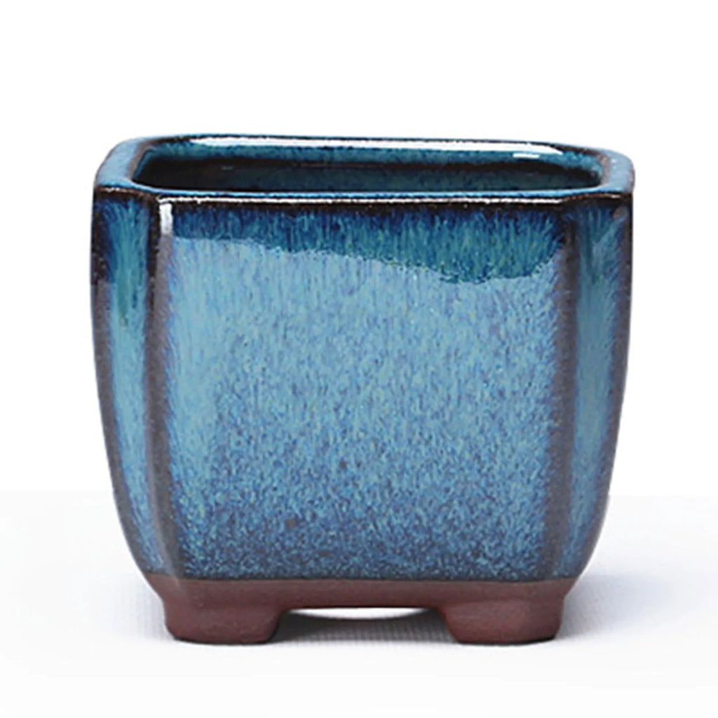 Blue ceramic succulent pot front view with terracotta base feet and open top