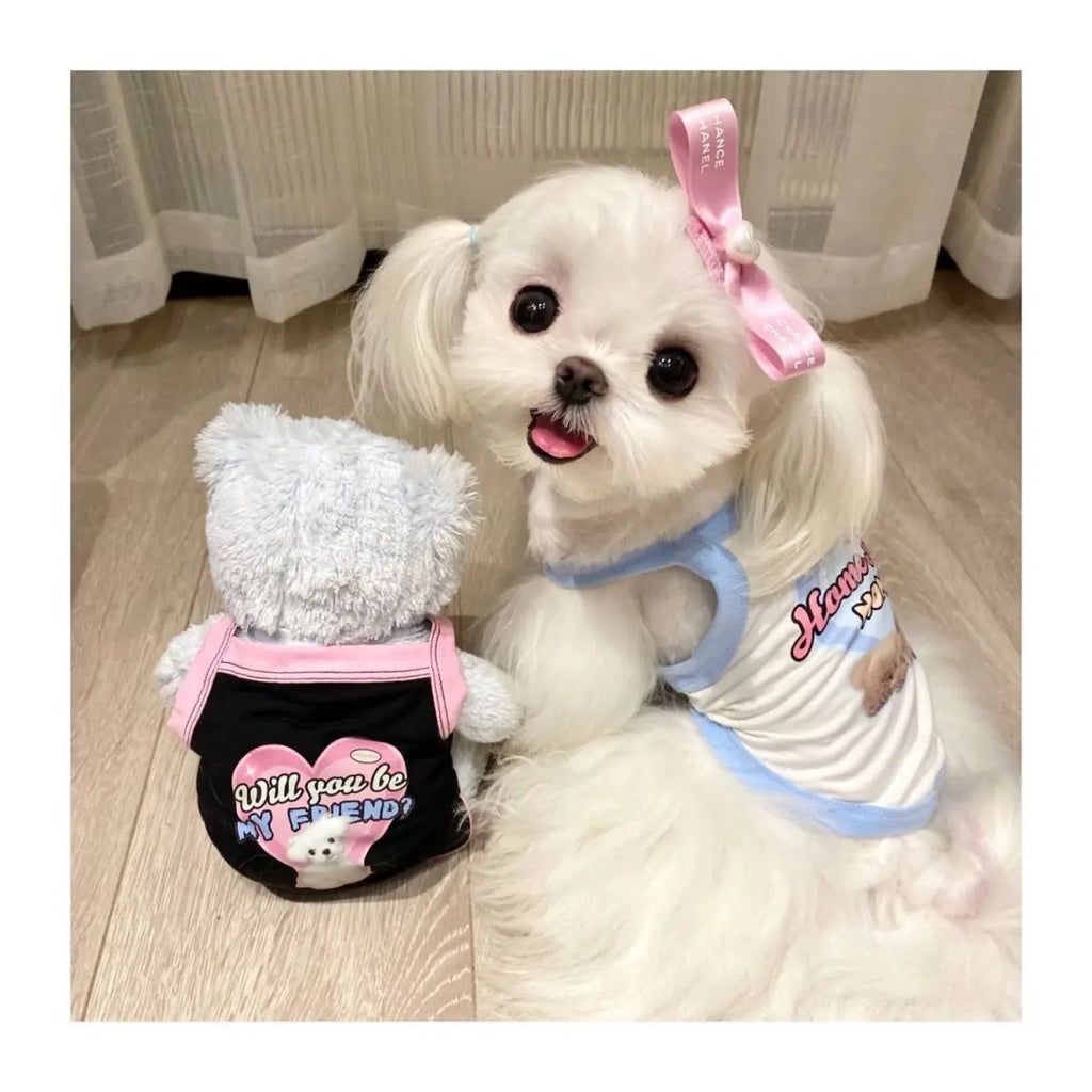 Cute dog wearing a stylish pastel spring camisole vest, perfect comfortable puppy clothes for small dog breeds.