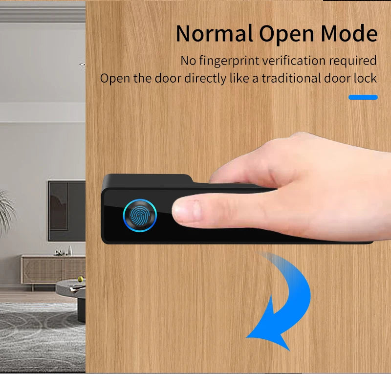 European Handle Door Fingerprint Lock Hidden Keyhole Tuya for Bedroom Study Magnetic One-word Minimalist Ecological Silent Lock
