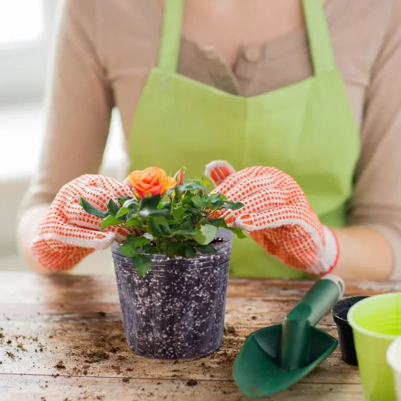 10/50PCS Transparent Seedling Pot Plants Nursery Pot Cups Gardening Transplantation Potted Flowerpot Planter Gardening Tools