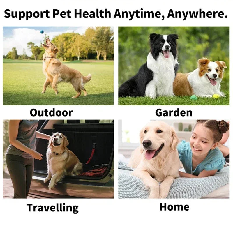 Pet eye wipes for dogs and cats: gentle wet tissues for easy daily eye cleaning, tartar removal, and pet grooming care.