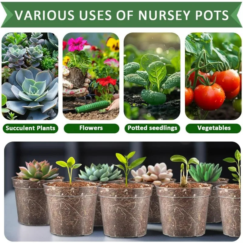 S/M/L/XL Transparent Flowerpot Plant Nursery Pot Seedling Cup Gardening Transplantation Potted Flower Pot Planter Gardening Tool