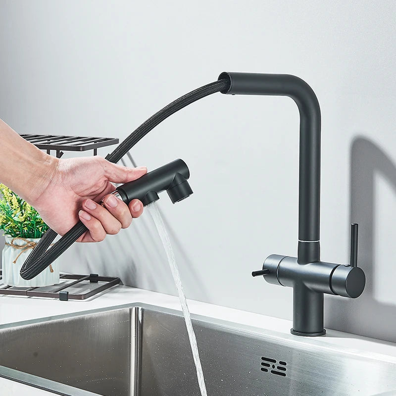 Black Water Purifier Kitchen Faucet 2 In 1 Pull Out Flexible Hot and Cold Water Mixer Tap with Filter Nozzle Faucets