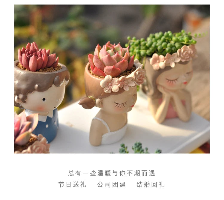 Fairy Succulent Flowerpot Desktop Ornament Succulents Plant Potted Green Plants Vase  Home Gardening