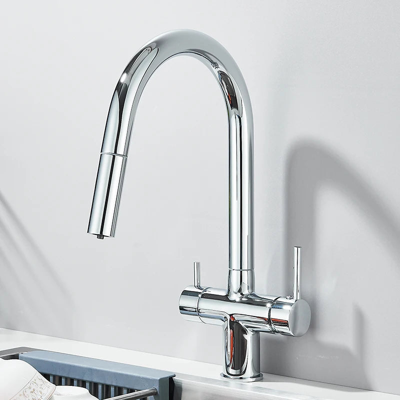 Pure Water Filter Kitchen Faucet Pull Out Flexible Kitchen Faucets Dual Handle Stainless Steel 2 in 1 Hot Cold Water Mixer Tap
