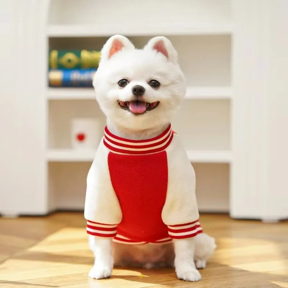 Small white dog wearing a cozy red and white winter baseball jacket for warm outdoor pet comfort.