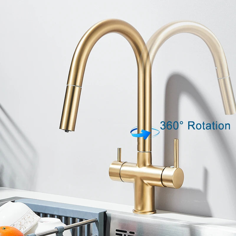 Pure Water Filter Kitchen Faucet Pull Out Flexible Kitchen Faucets Dual Handle Stainless Steel 2 in 1 Hot Cold Water Mixer Tap