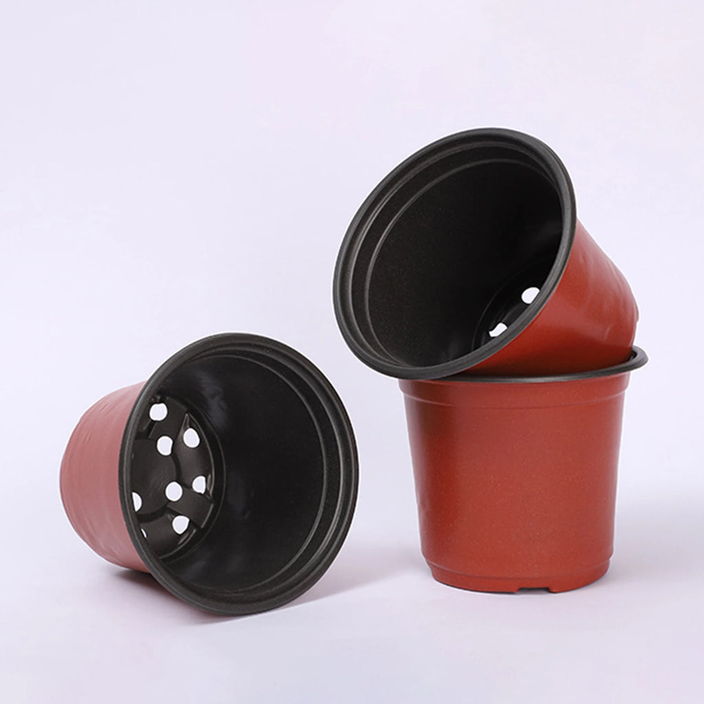 Red plastic nursery pots with black bases, drainage holes visible