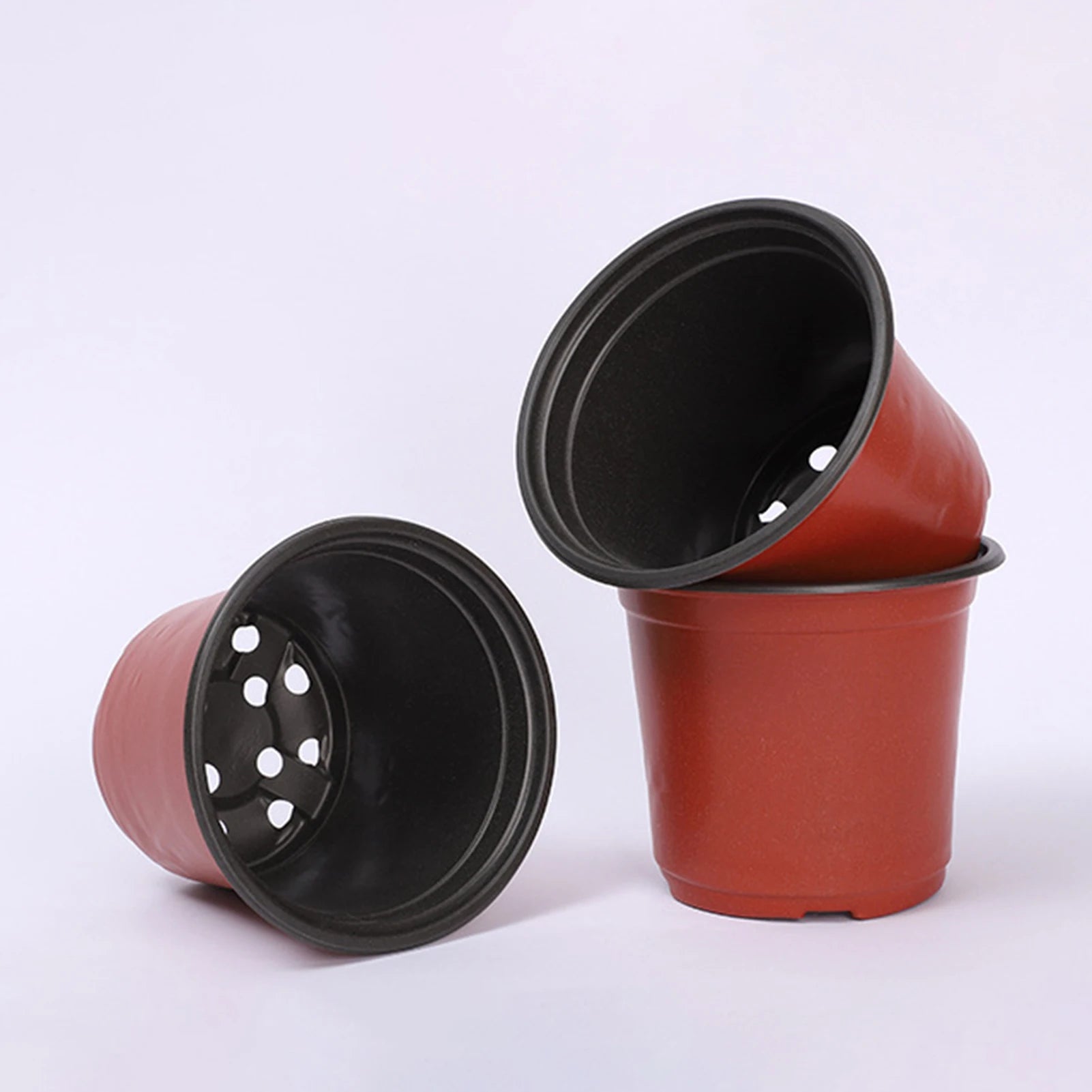 Red plastic nursery pots with black bases, drainage holes visible