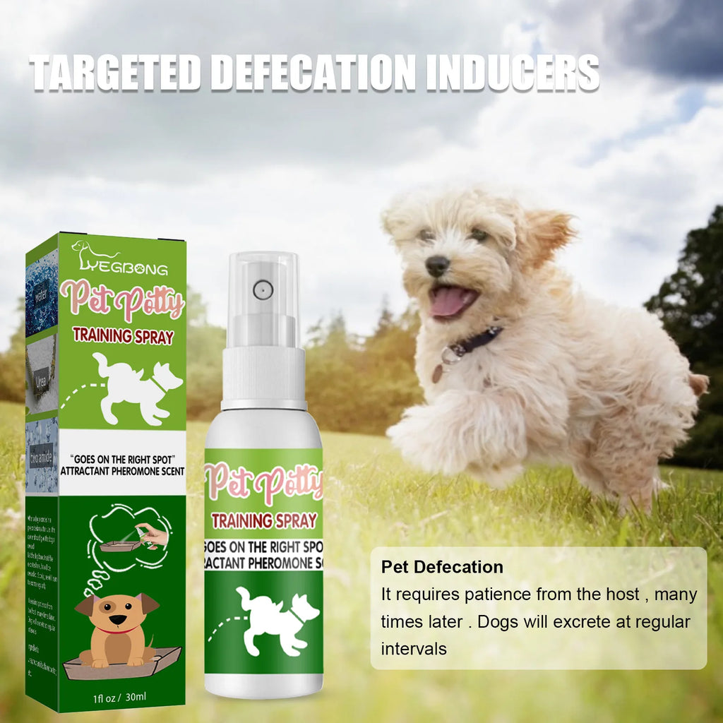 Pet potty training spray (30ml) with pheromone scent to help puppies learn toilet positioning and housebreaking.