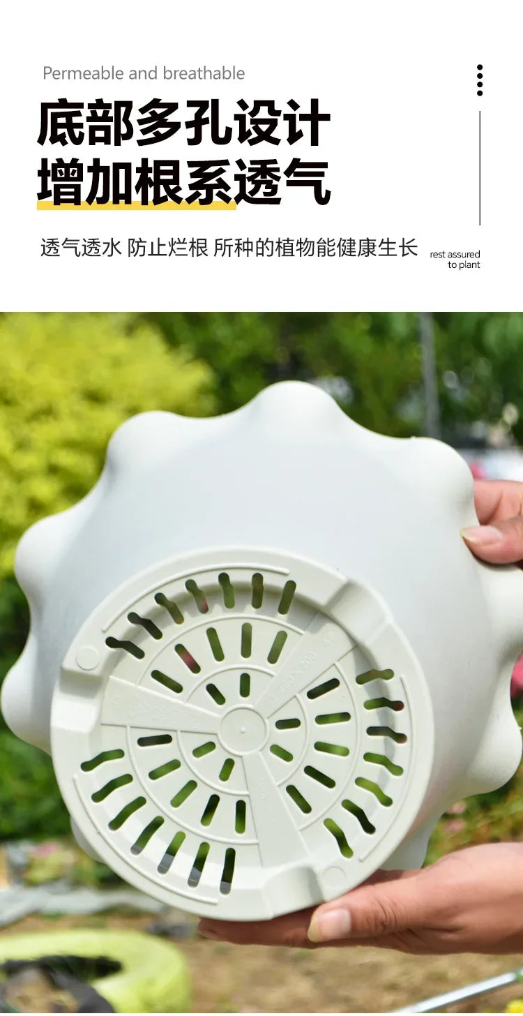 Flower Pot Lotus Leaf Edge Household Thickened Plastic Indoor Balcony Lily Wind and Wave Edge Pot 2pcs (Flower Pots Bases)