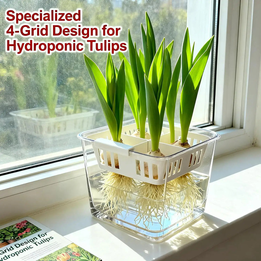 5/1PCS 4 Grids Flower Pot for Hydroponic Tulips Acrylic Breathable Hydroponic Containers for Indoor Gardening Planting Container