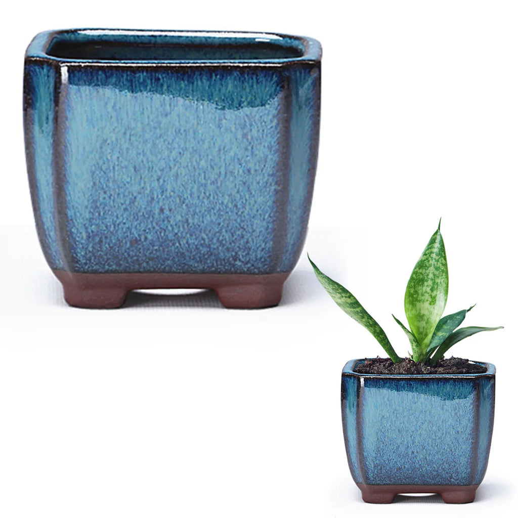 Blue square ceramic succulent planter with vented drainage base