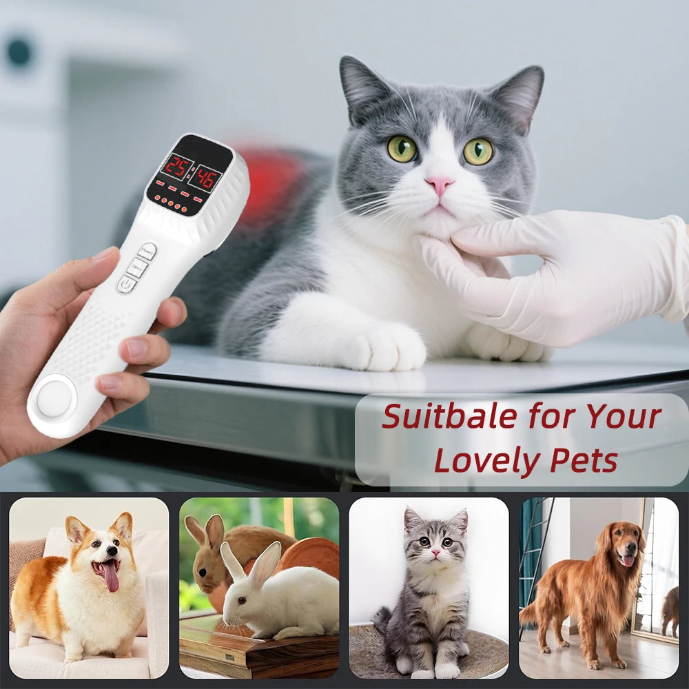 Handheld white infrared therapy device with a digital display for treating pain in cats, dogs, and rabbits.