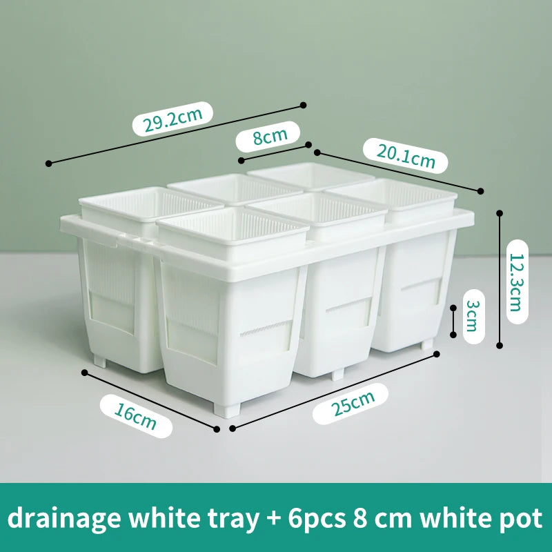 White drainage tray with six ribbed square succulent pots, rectangular multi-pot layout