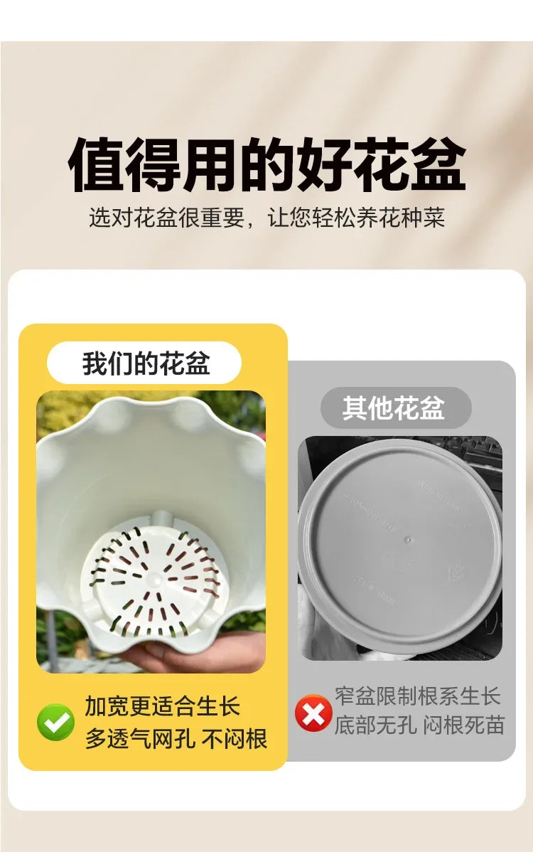 Flower Pot Lotus Leaf Edge Household Thickened Plastic Indoor Balcony Lily Wind and Wave Edge Pot 2pcs (Flower Pots Bases)