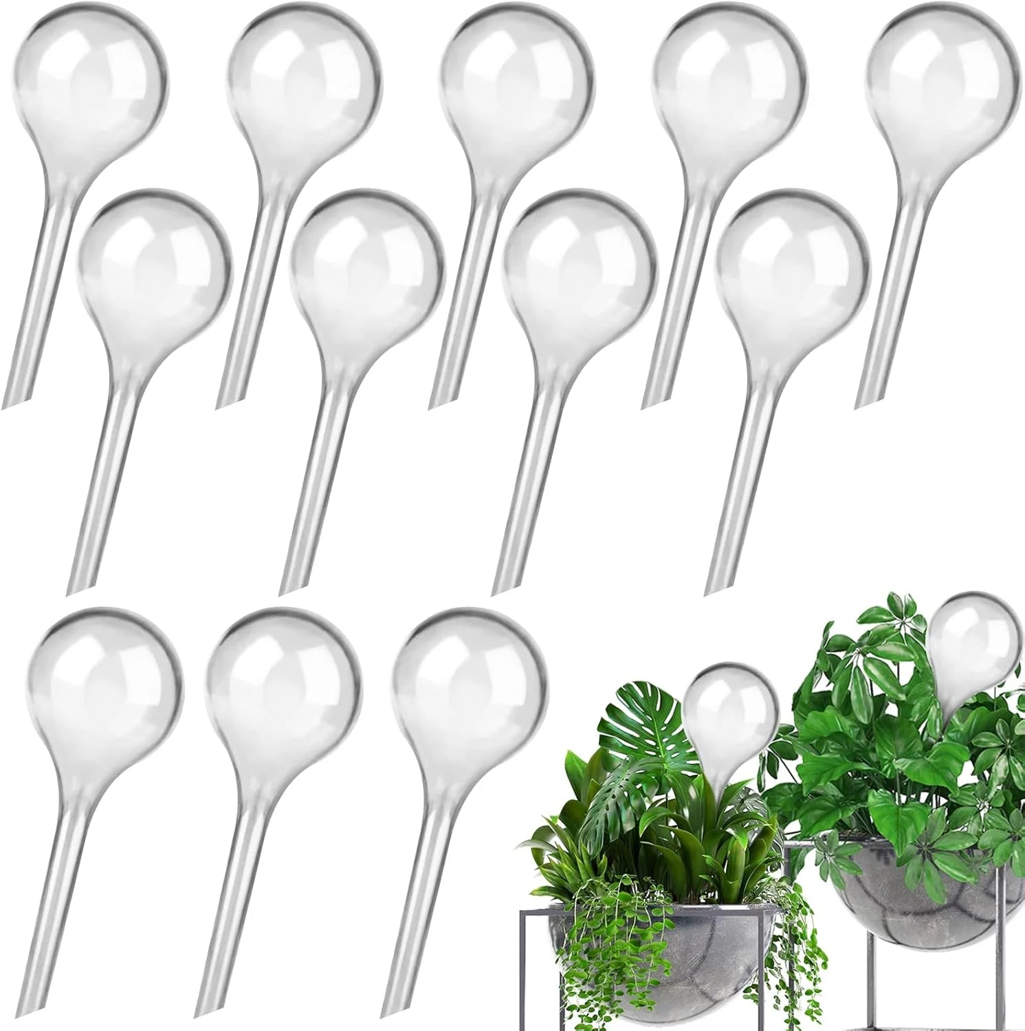 12 Pack Indoor Plant Watering Balls 13x5cm Automatic Self Watering System Transparent Globes for Potted Plants Watering Bulbs