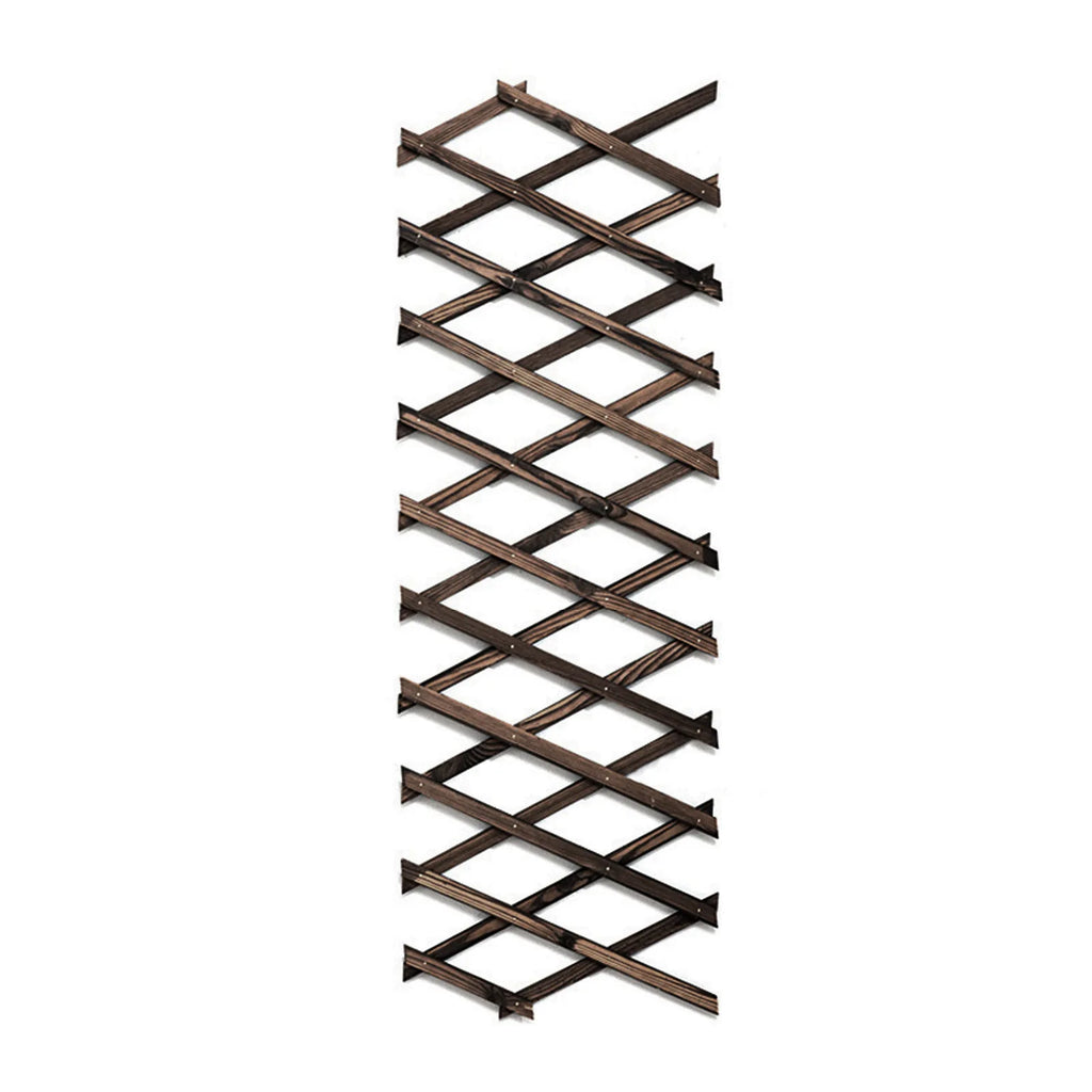 Expandable Plant Climb Hanging Frame Trellis Plant Support Fence Indoor Plant Vertical Rack Wall Decor For Room Patio Garden