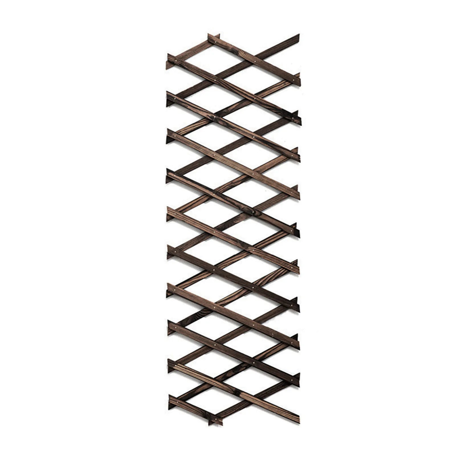Expandable Plant Climb Hanging Frame Trellis Plant Support Fence Indoor Plant Vertical Rack Wall Decor For Room Patio Garden