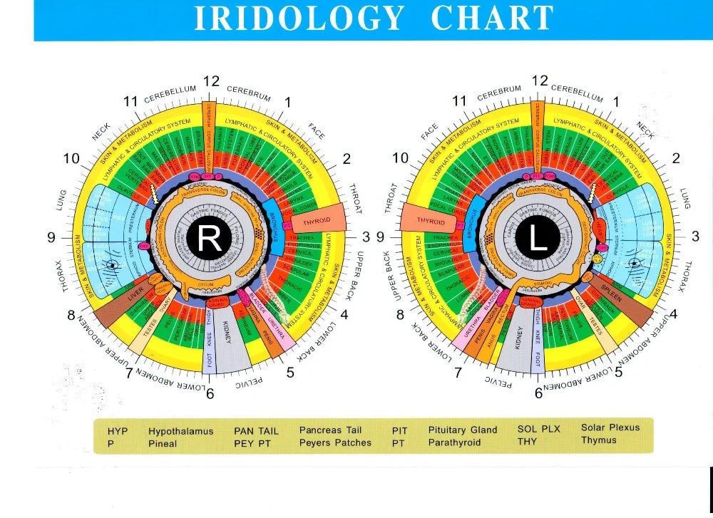 Iris Analyzer System - 12MP Wireless Digital Iridology Health Tool Body Shaping Massage Equipment Tidesmit