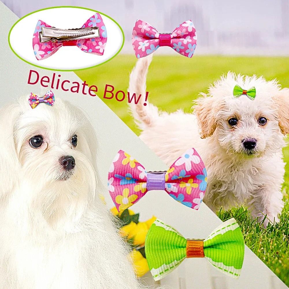 Colorful floral pet hair bows and clips for small dogs, grooming accessories to style puppy hair easily.
