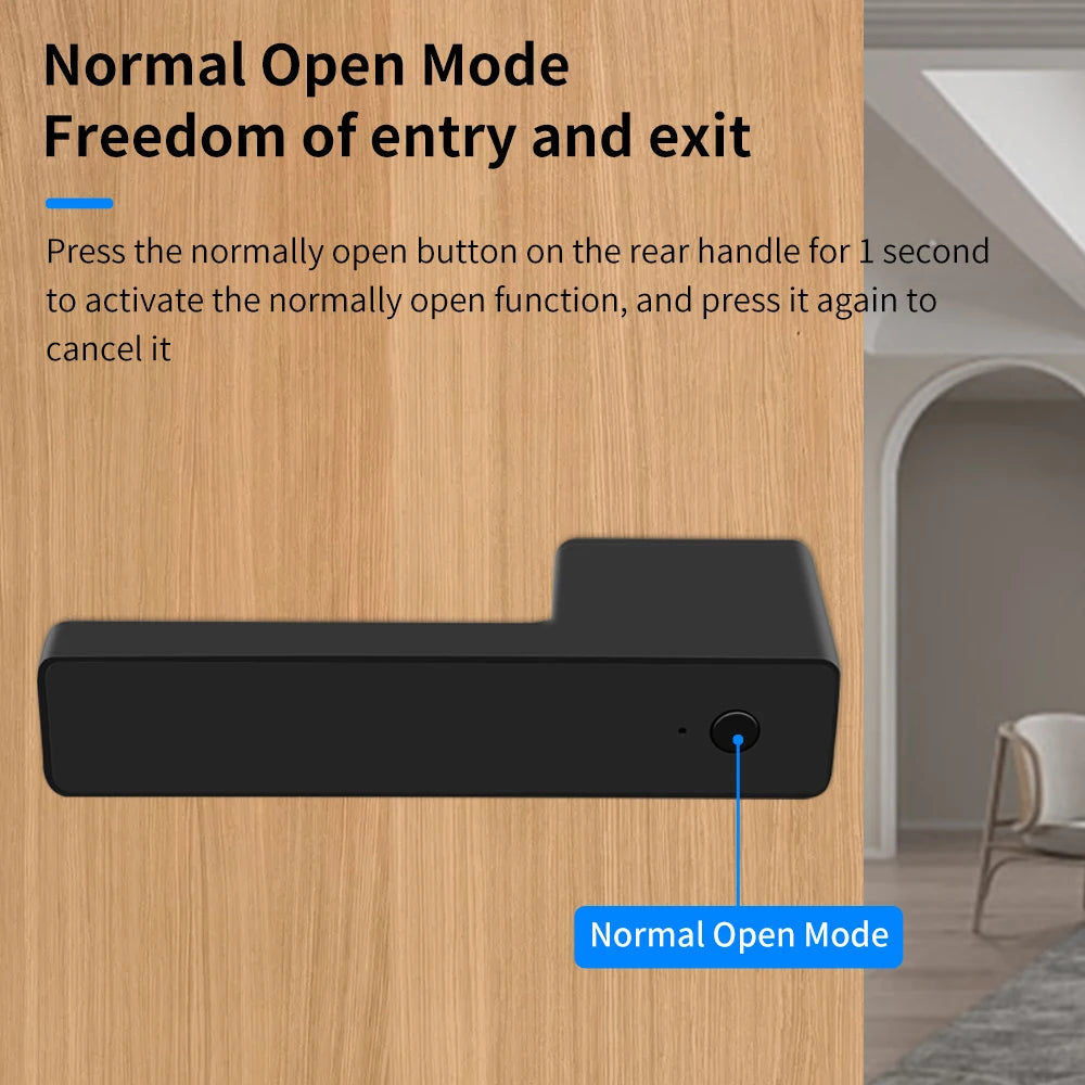 European Handle Door Fingerprint Lock Hidden Keyhole Tuya for Bedroom Study Magnetic One-word Minimalist Ecological Silent Lock