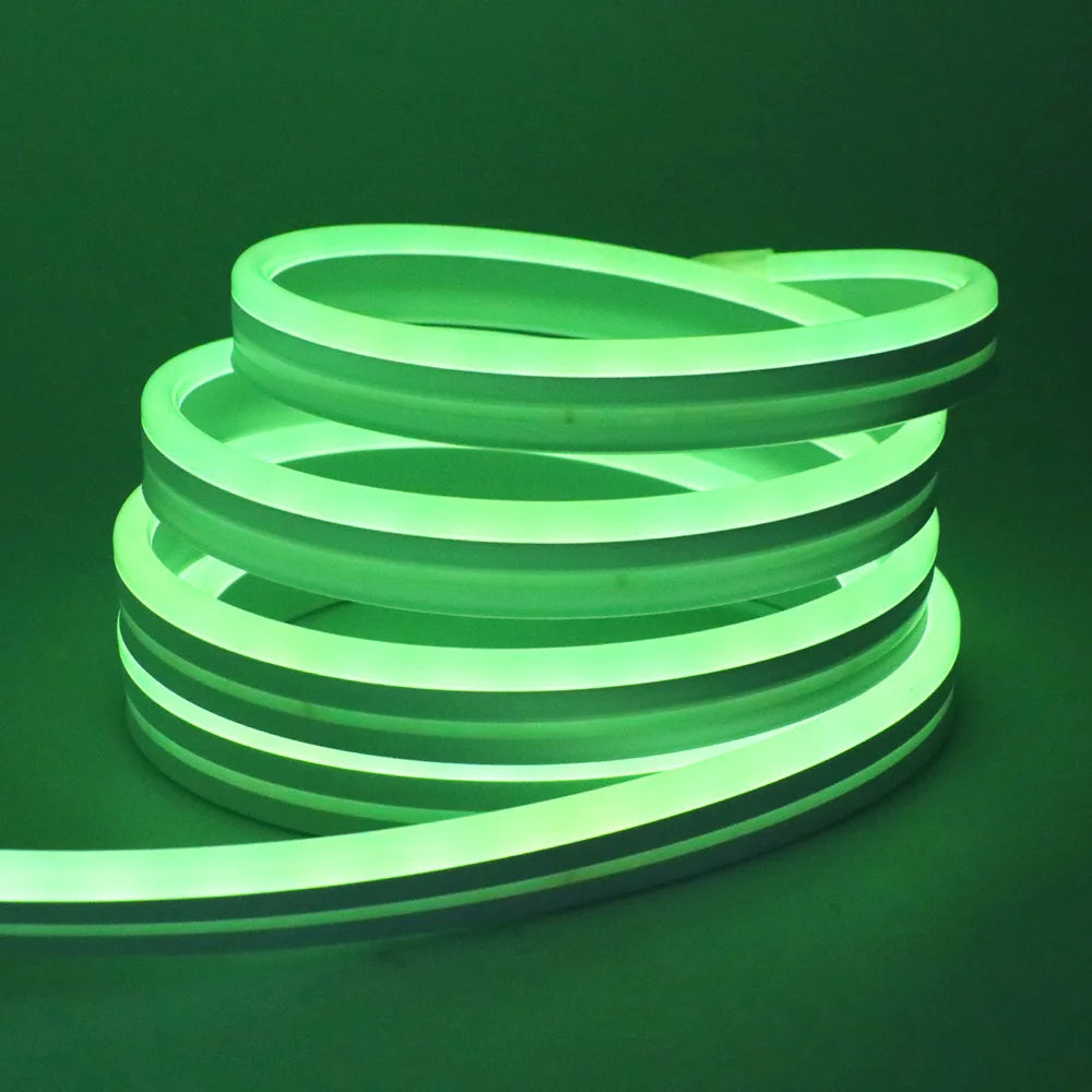RGB Neon Light LED Rope Light Waterproof APP Remote Control Music Sync 24V Flexible DIY Silicone Strip Light for Indoor Outdoor