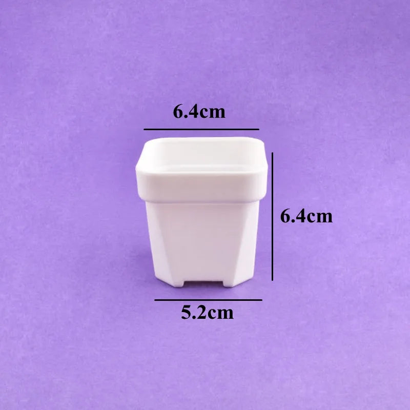 Small white square succulent planter pot; dimensions 6.4 cm shown