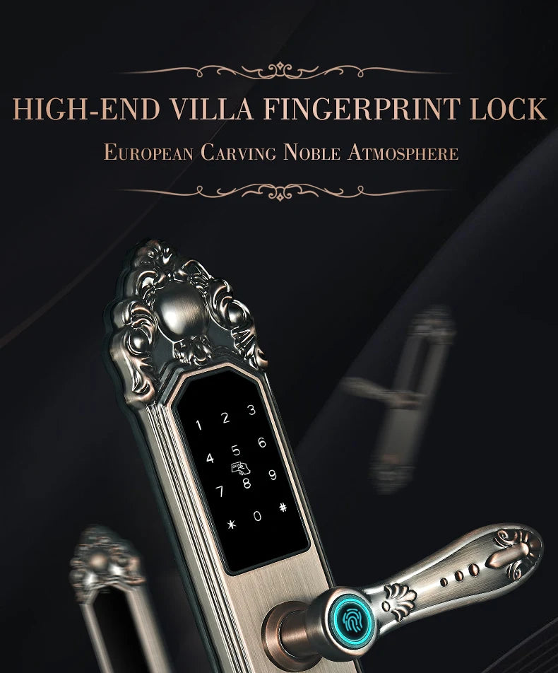 Competitive Price OEM&ODM TT Fingerprint Password Gold Handle Smart Door Handel Lock D30zm