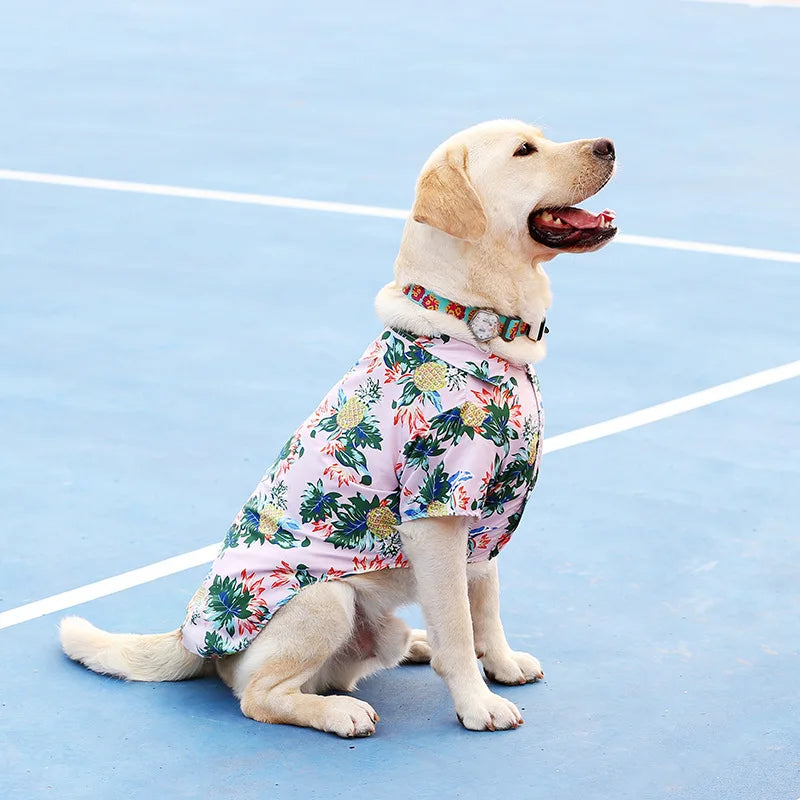 Cute Labrador wearing a breathable, pink Hawaiian pineapple print summer dog shirt. Available in XS-5XL for all breeds.