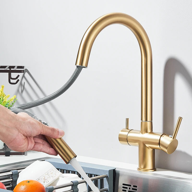 Pure Water Filter Kitchen Faucet Pull Out Flexible Kitchen Faucets Dual Handle Stainless Steel 2 in 1 Hot Cold Water Mixer Tap