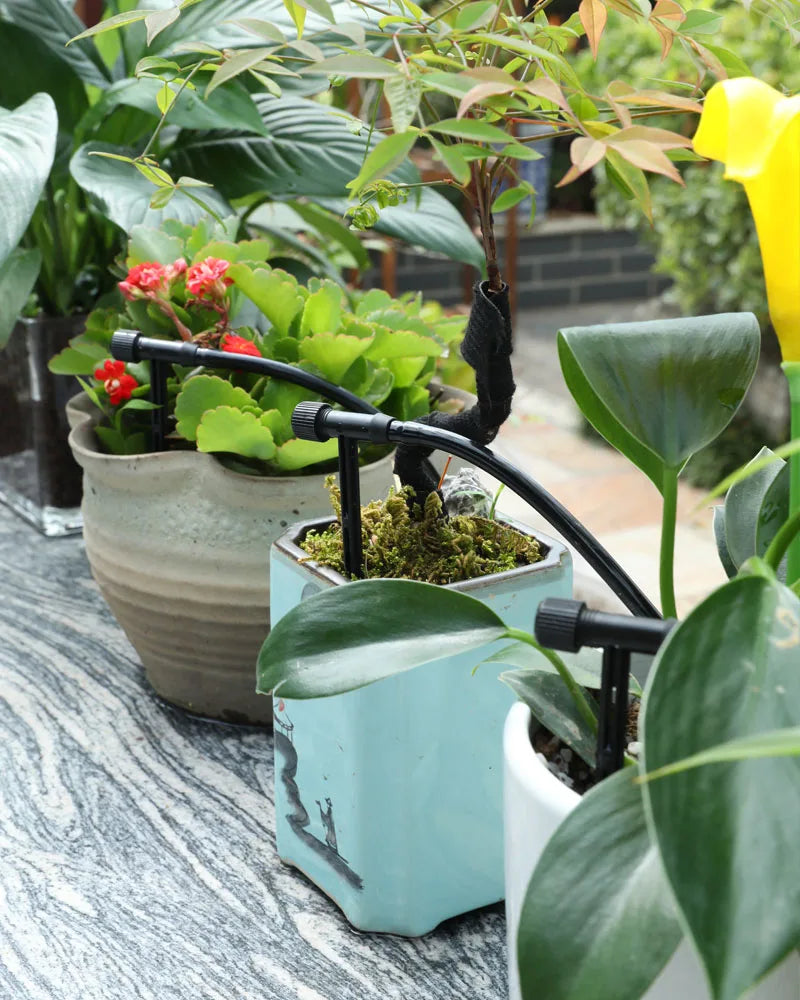 Black adjustable drip irrigation hose feeding micro drippers for greenhouse potted plants