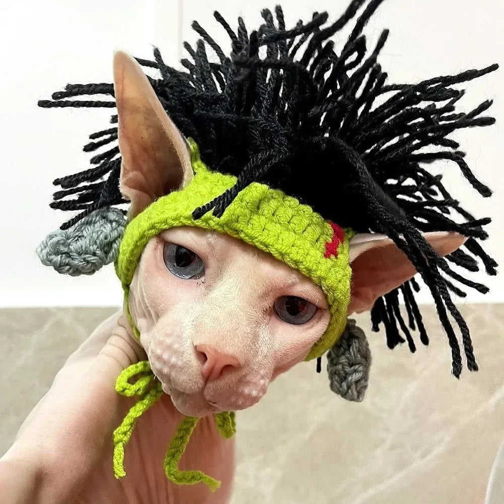 Funny green knitted cat hat costume with black yarn hair for a hairless cat, perfect for cute cosplay photography.