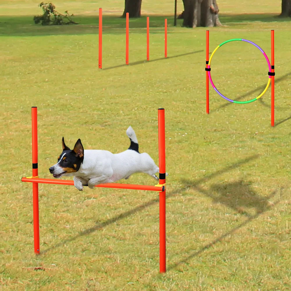 Dog jumping over portable orange agility hurdle and ring set for outdoor pet training and exercise in a grass field.