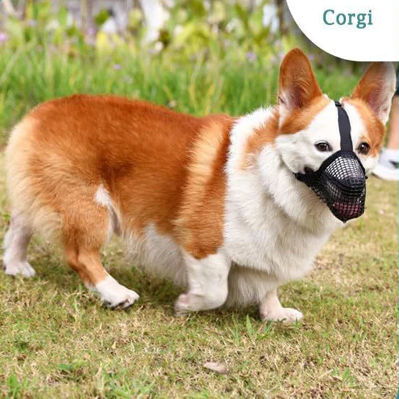 Corgi wearing an adjustable black mesh dog muzzle for anti-bite, breathable, and anti-licking control.