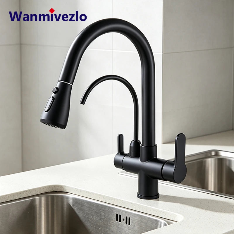 Kitchen Faucet Pull Down Sprayer Dual Handle Stainless Steel Kitchen Tap with Drinking Water Outlet for Water Filter