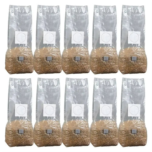 Ten mushroom grow bags with substrate. Professional adaptogen grow kits for mushroom cultivation in clear plastic bags.